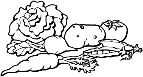 Cabbage, Potatoes, Carrots And Tomato Coloring Page